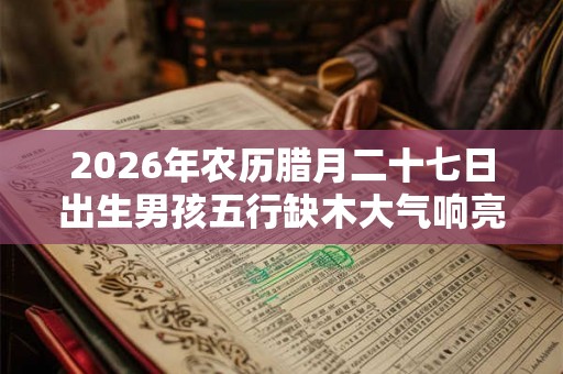 2026年农历腊月二十七日出生男孩五行缺木大气响亮名字
