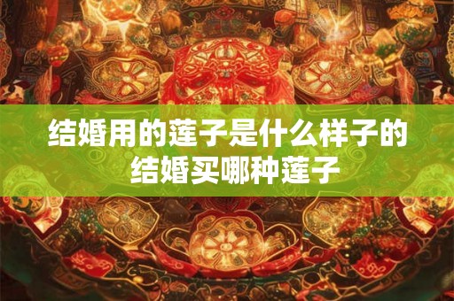 结婚用的莲子是什么样子的  结婚买哪种莲子