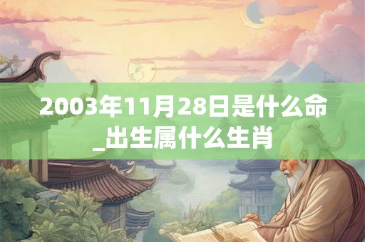 2003年11月28日是什么命_出生属什么生肖