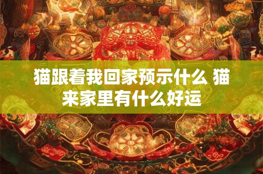猫跟着我回家预示什么 猫来家里有什么好运 猫跟着我回家预示什么 猫来家里有什么好运