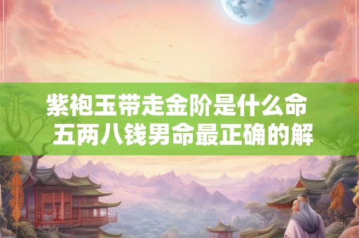 紫袍玉带走金阶是什么命  五两八钱男命最正确的解释是