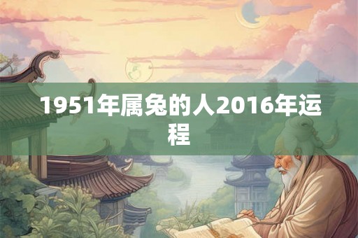 1951年属兔的人2016年运程