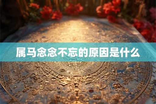 属马念念不忘的原因是什么