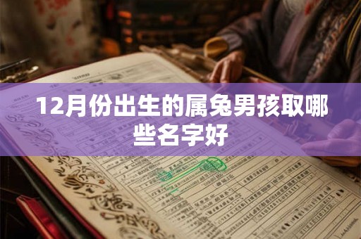 12月份出生的属兔男孩取哪些名字好