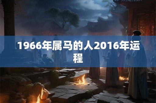 1966年属马的人2016年运程 1966年属马的人2016年运程