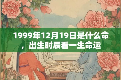 1999年12月19日是什么命，出生时辰看一生命运