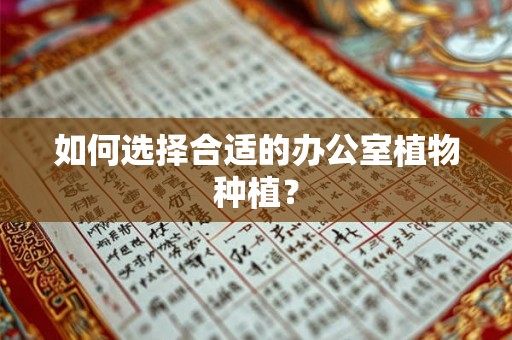 如何选择合适的办公室植物种植？