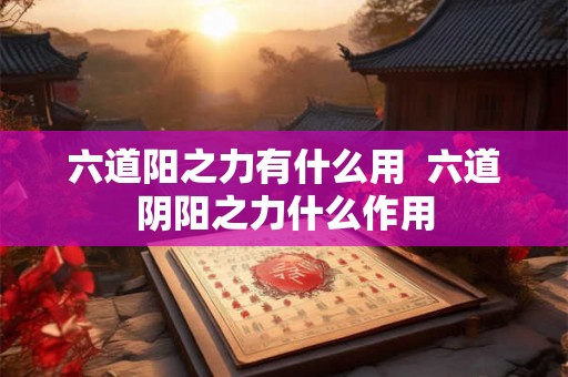 六道阳之力有什么用  六道阴阳之力什么作用