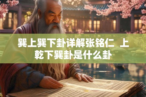 巽上巽下卦详解张铭仁  上乾下巽卦是什么卦