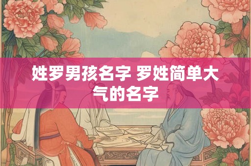 姓罗男孩名字 罗姓简单大气的名字