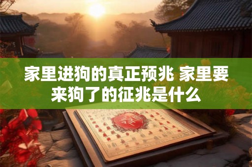 家里进狗的真正预兆 家里要来狗了的征兆是什么