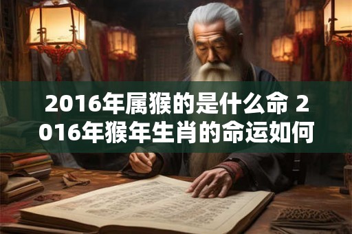 2016年属猴的是什么命 2016年猴年生肖的命运如何