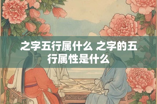 之字五行属什么 之字的五行属性是什么