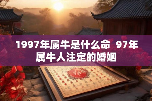 1997年属牛是什么命 97年属牛人注定的婚姻 1997年属牛是什么命 97年属牛人注定的婚姻