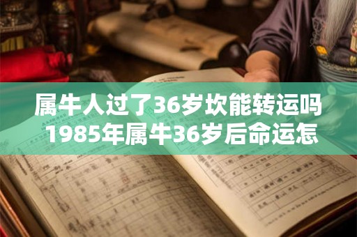 属牛人过了36岁坎能转运吗 1985年属牛36岁后命运怎么样