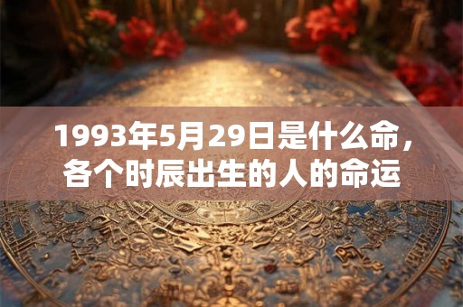 1993年5月29日是什么命，各个时辰出生的人的命运