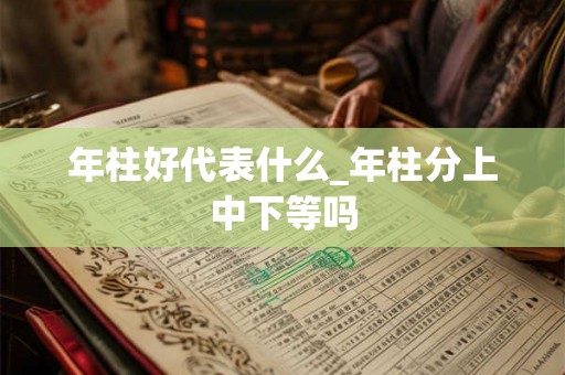 年柱好代表什么_年柱分上中下等吗