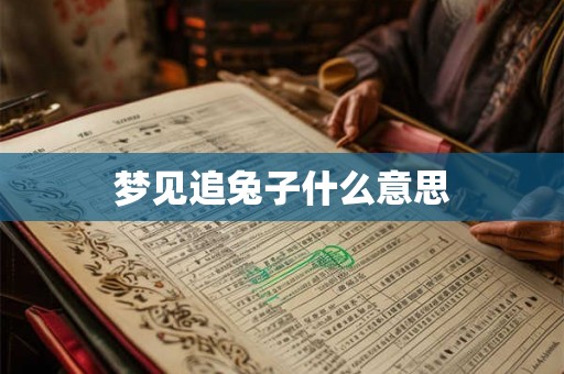 梦见追兔子什么意思