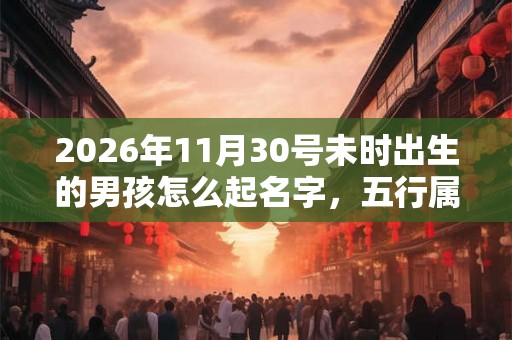 2026年11月30号未时出生的男孩怎么起名字，五行属什么