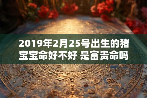 2019年2月25号出生的猪宝宝命好不好 是富贵命吗 2019年2月25号出生的猪宝宝命好不好 是富贵命吗