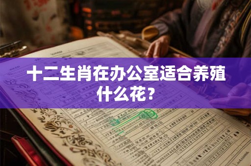 十二生肖在办公室适合养殖什么花？