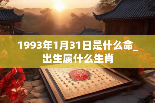 1993年1月31日是什么命_出生属什么生肖