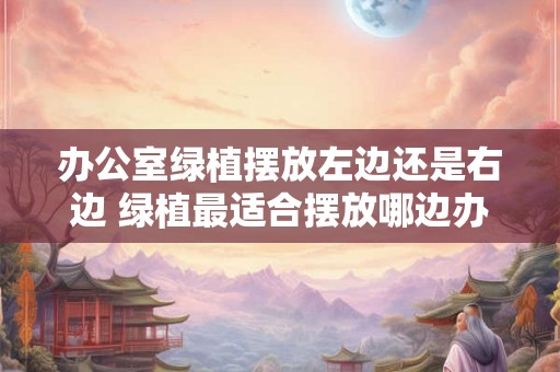 办公室绿植摆放左边还是右边 绿植最适合摆放哪边办公室