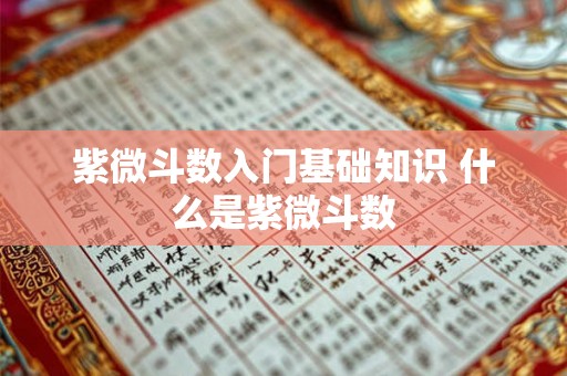紫微斗数入门基础知识 什么是紫微斗数
