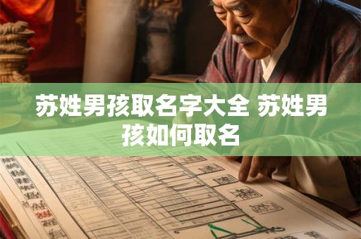 苏姓男孩取名字大全 苏姓男孩如何取名 苏姓男孩取名字大全 苏姓男孩如何取名
