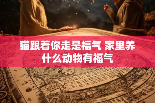 猫跟着你走是福气 家里养什么动物有福气