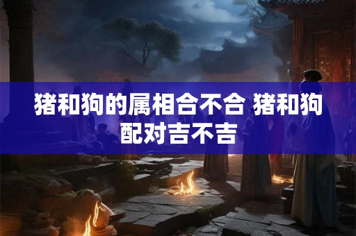 猪和狗的属相合不合 猪和狗配对吉不吉