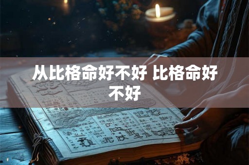 从比格命好不好 比格命好不好