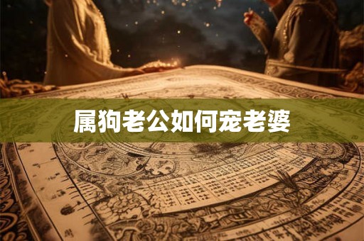 属狗老公如何宠老婆