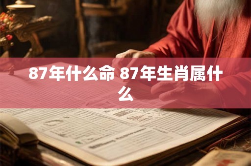 87年什么命 87年生肖属什么