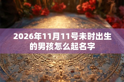 2026年11月11号未时出生的男孩怎么起名字