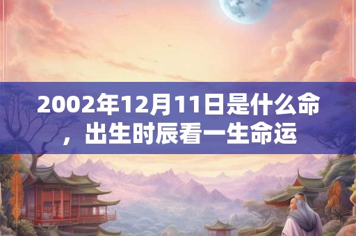 2002年12月11日是什么命,出生时辰看一生命运 2002年12月11日是什么命,出生时辰看一生命运
