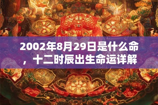 2002年8月29日是什么命，十二时辰出生命运详解
