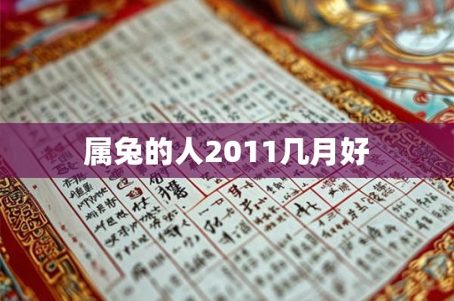属兔的人2011几月好