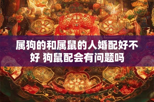 属狗的和属鼠的人婚配好不好 狗鼠配会有问题吗