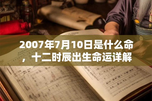 2007年7月10日是什么命，十二时辰出生命运详解