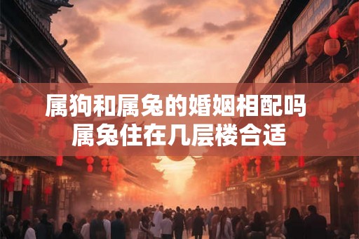 属狗和属兔的婚姻相配吗 属兔住在几层楼合适