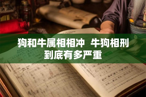 狗和牛属相相冲 牛狗相刑到底有多严重 狗和牛属相相冲 牛狗相刑到底有多严重