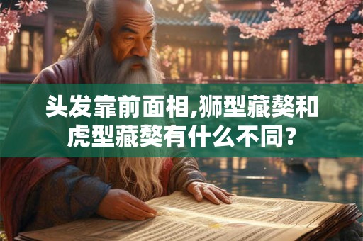 头发靠前面相,狮型藏獒和虎型藏獒有什么不同？