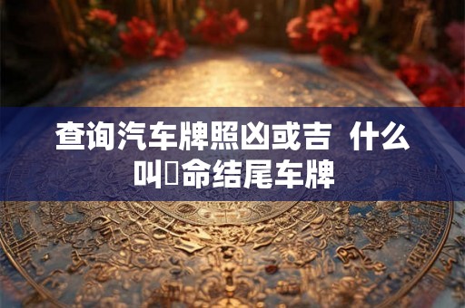 查询汽车牌照凶或吉  什么叫絕命结尾车牌