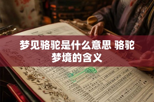梦见骆驼是什么意思 骆驼梦境的含义
