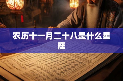 农历十一月二十八是什么星座