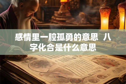 感情里一腔孤勇的意思  八字化合是什么意思