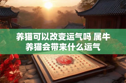 养猫可以改变运气吗 属牛养猫会带来什么运气