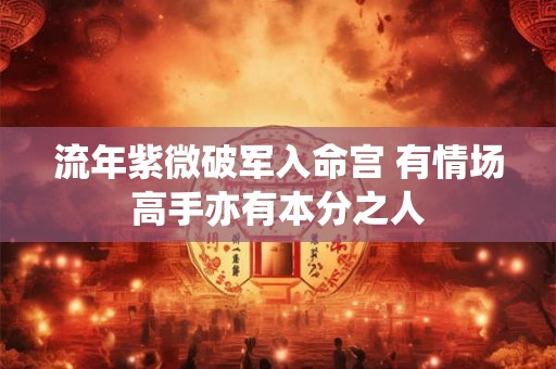流年紫微破军入命宫 有情场高手亦有本分之人