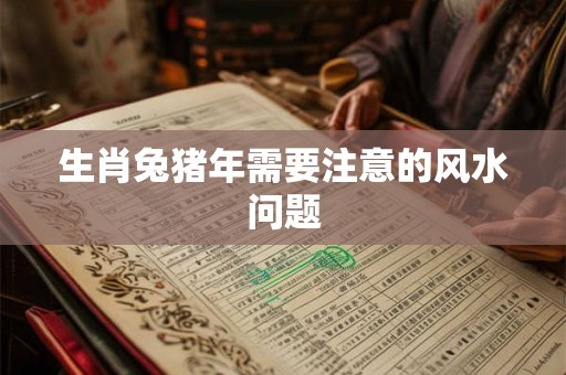 生肖兔猪年需要注意的风水问题